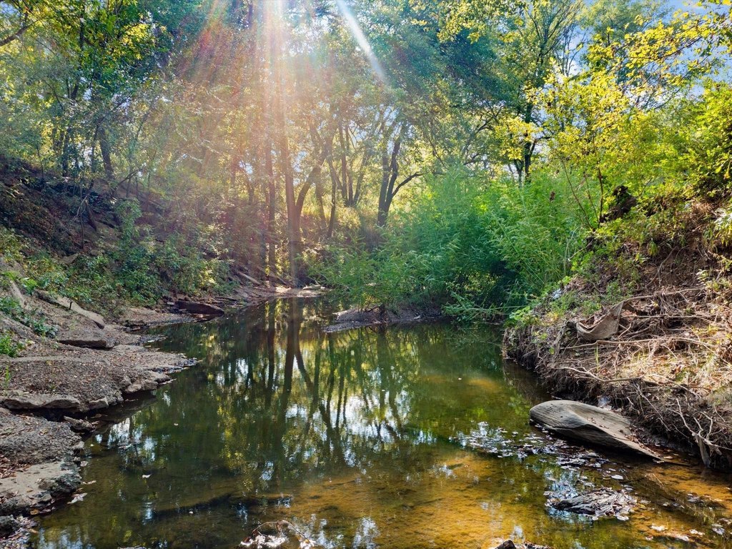 Picture 16