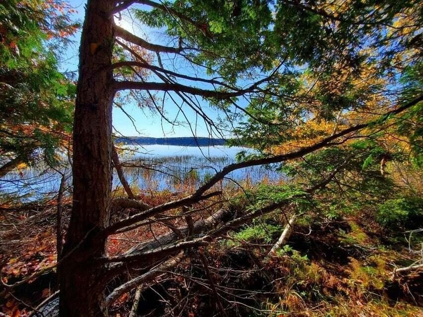 Princeton Waterfront Land For Sale