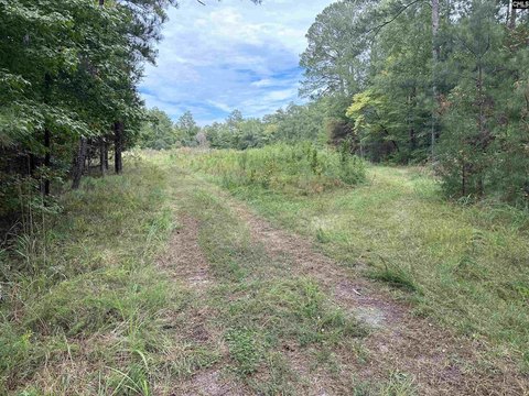LOTS AND ACREAGE, Prosperity, SC
