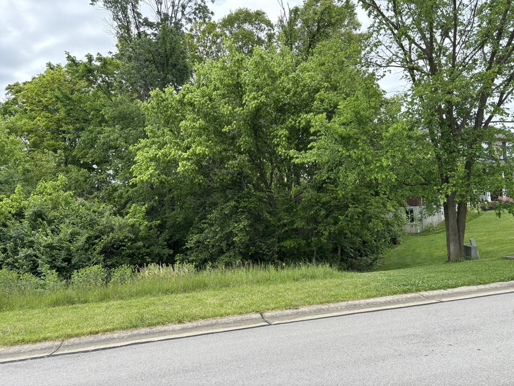 Picture 17