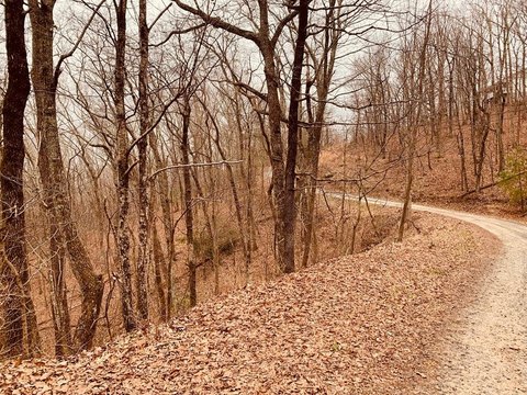 9.98 Acres in Jasper, GA