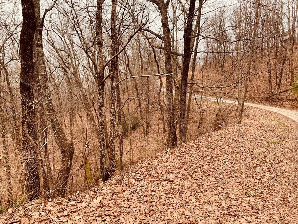 Picture 2