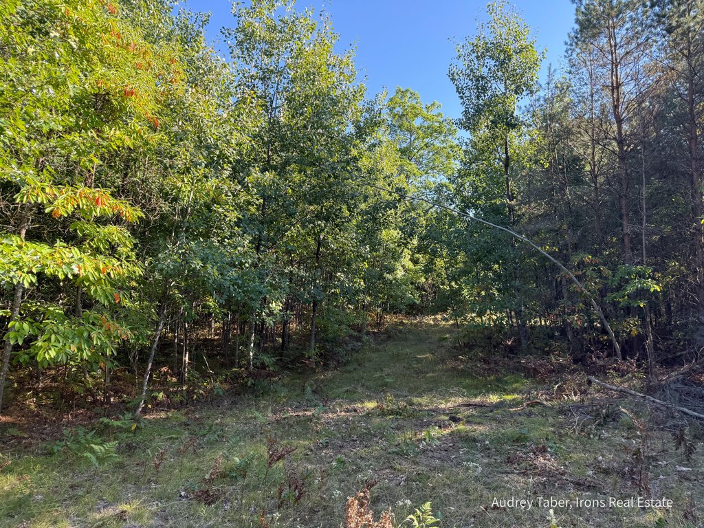 Picture 23