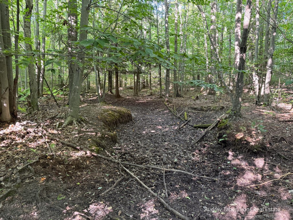 Picture 25