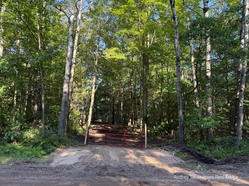 Picture 2