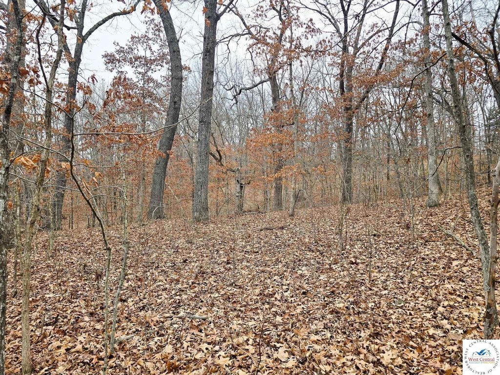 Picture 18