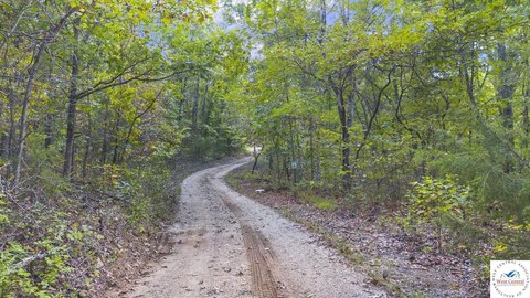 Wooded Recreational Land Tract