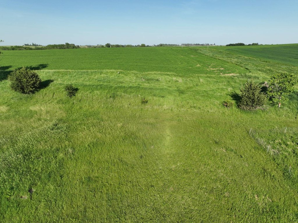 Picture 19