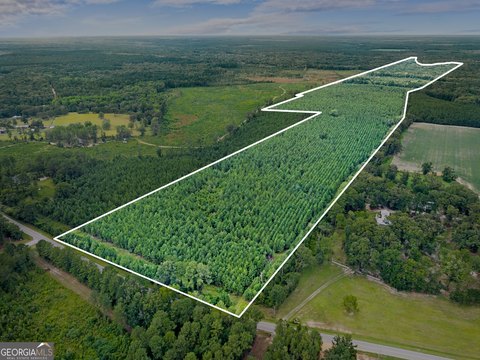218 Acres of Undeveloped Land
