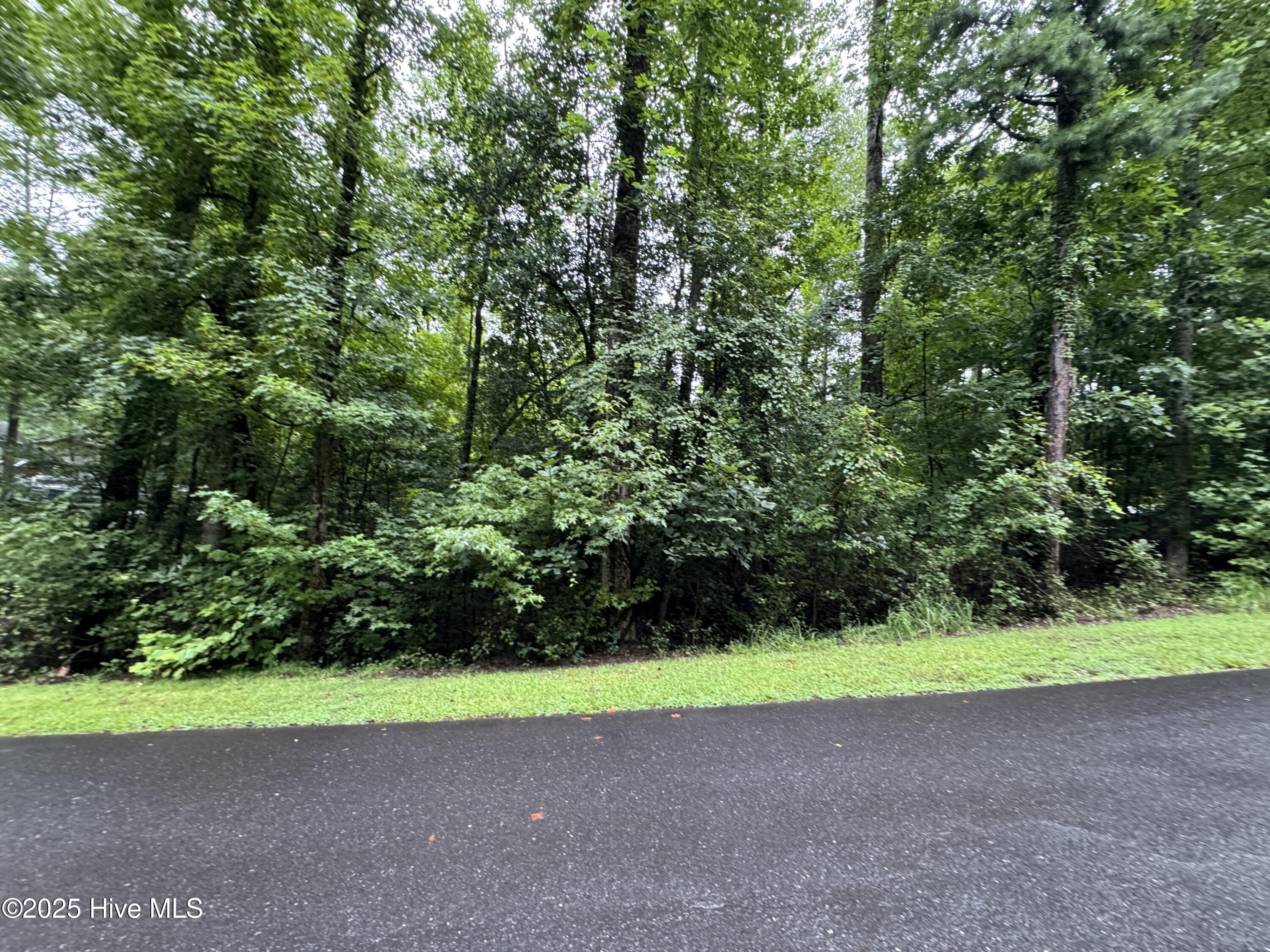 Lake Tillery Lot in Troy