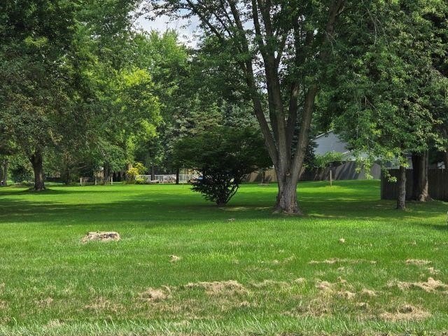 Picture 6
