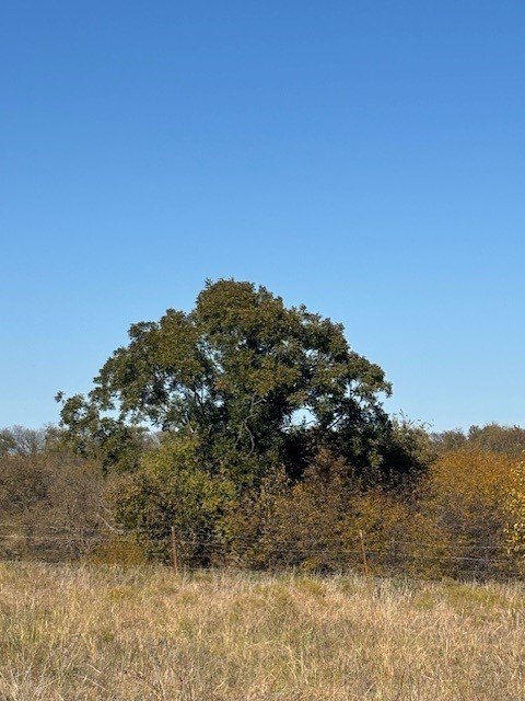 Picture 4