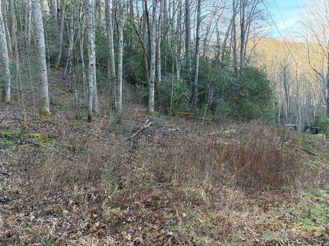 Wooded Lot with Lake Views