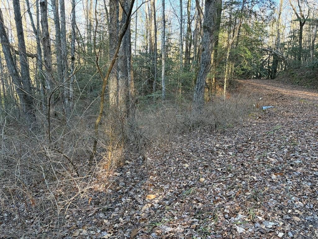 Picture 2