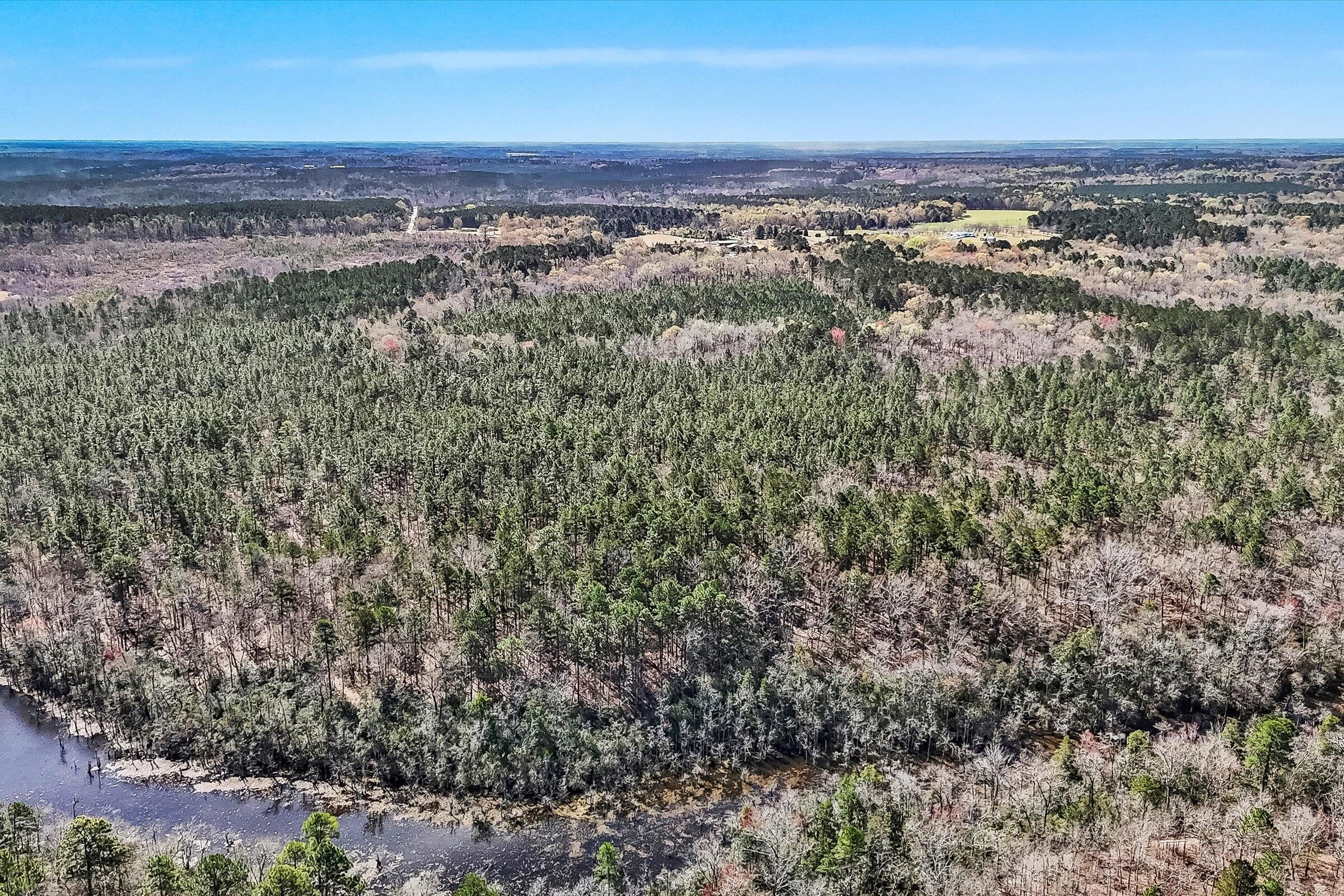 Forested Land with Trails