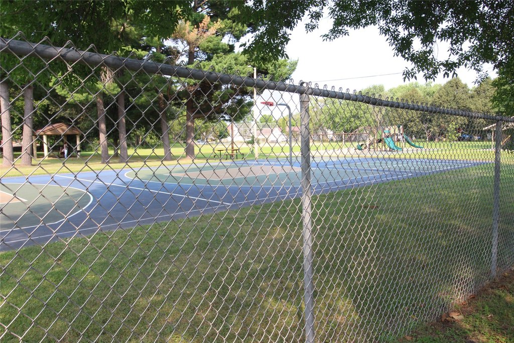 Picture 5