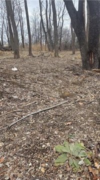 Residential Land in Normandy Estates