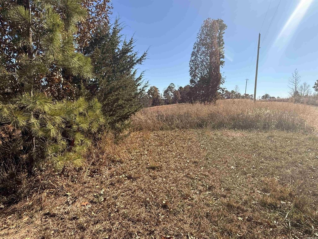 Picture 6
