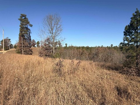 Mountain View Building Lot