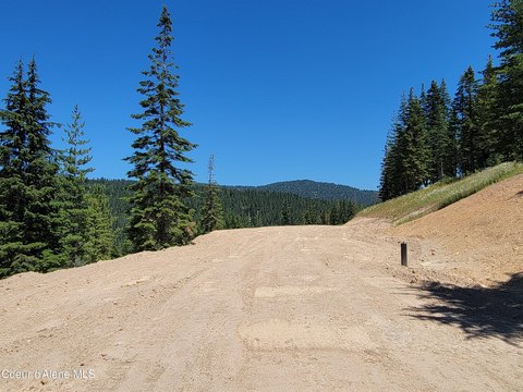 Mountain View Acreage in Kingston