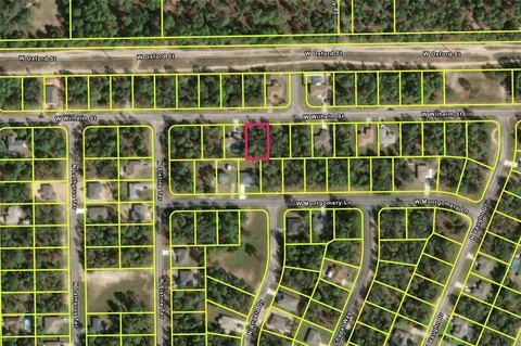 Land, CITRUS SPRINGS, FL