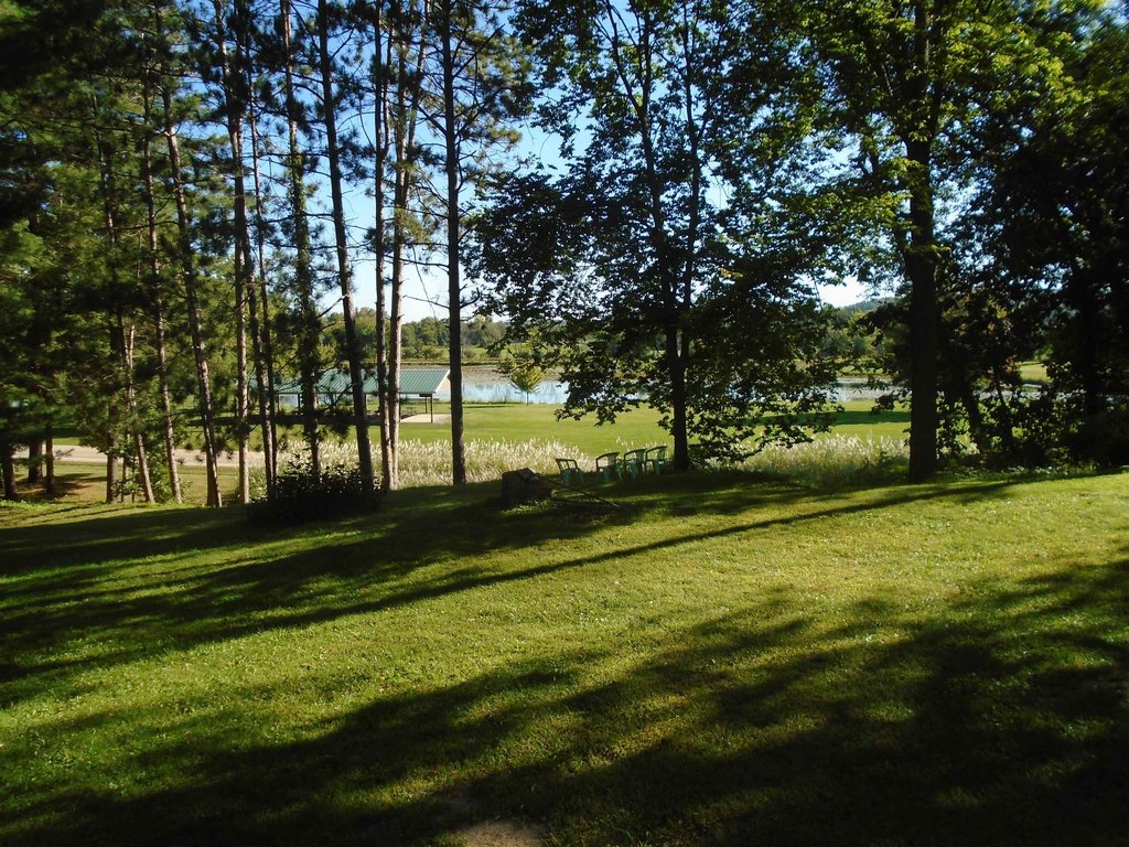 Picture 5
