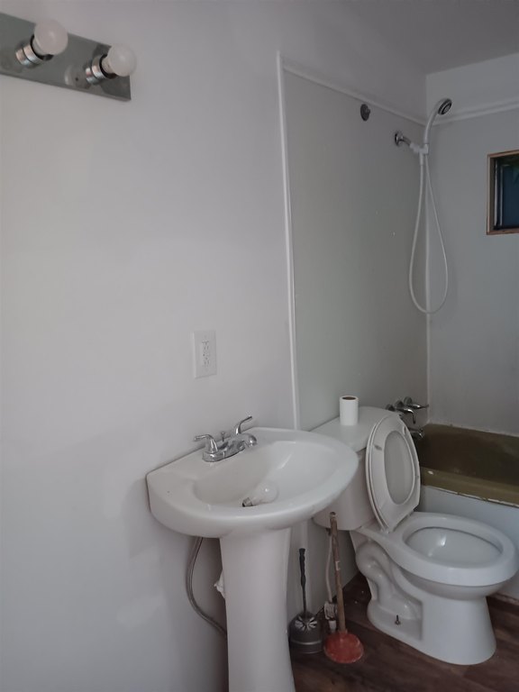 Picture 9