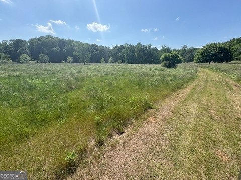 Pasture Land Near I-85
