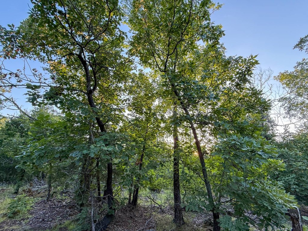 Picture 43