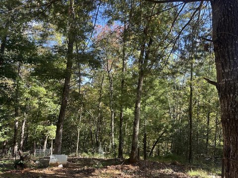 Vacant Lot, Murphy, NC