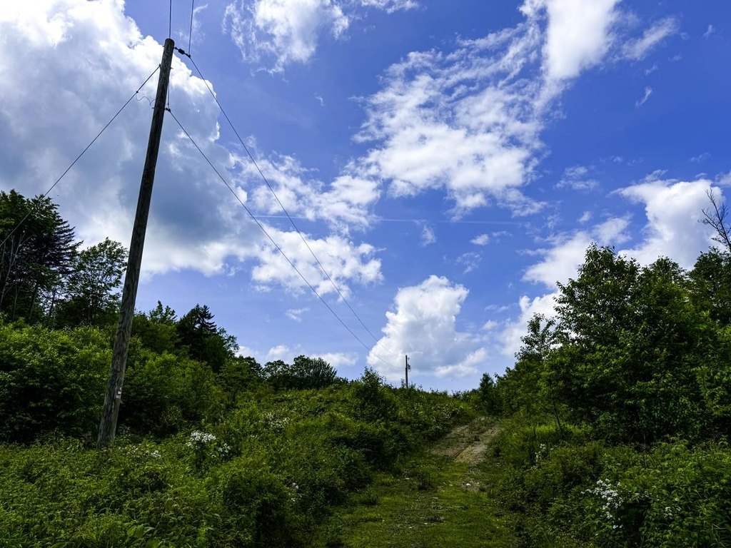 Picture 28