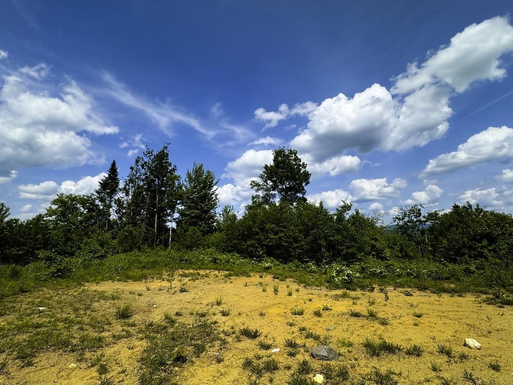Picture 48