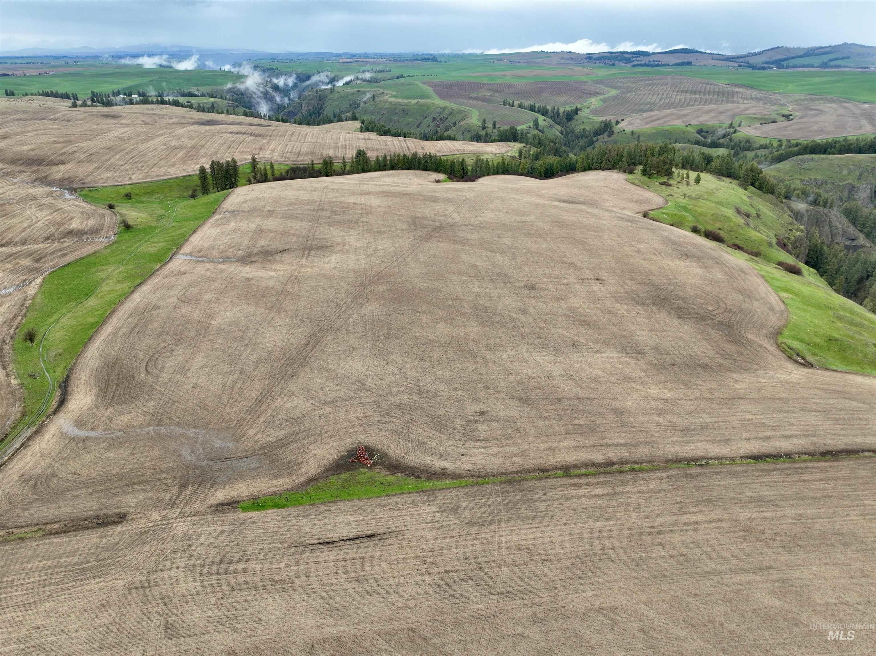 40 Acres Camas Prairie Farmland