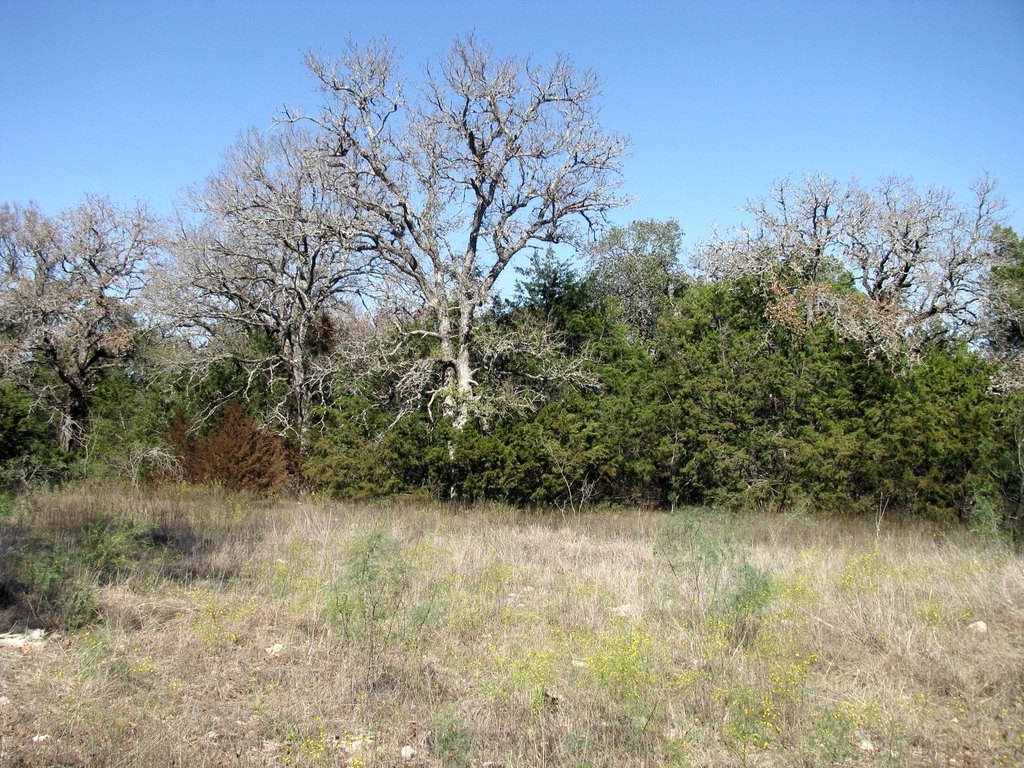Picture 14