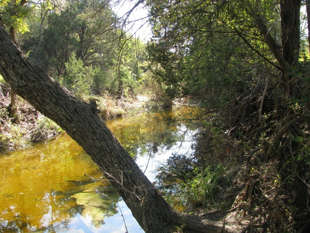 Picture 34