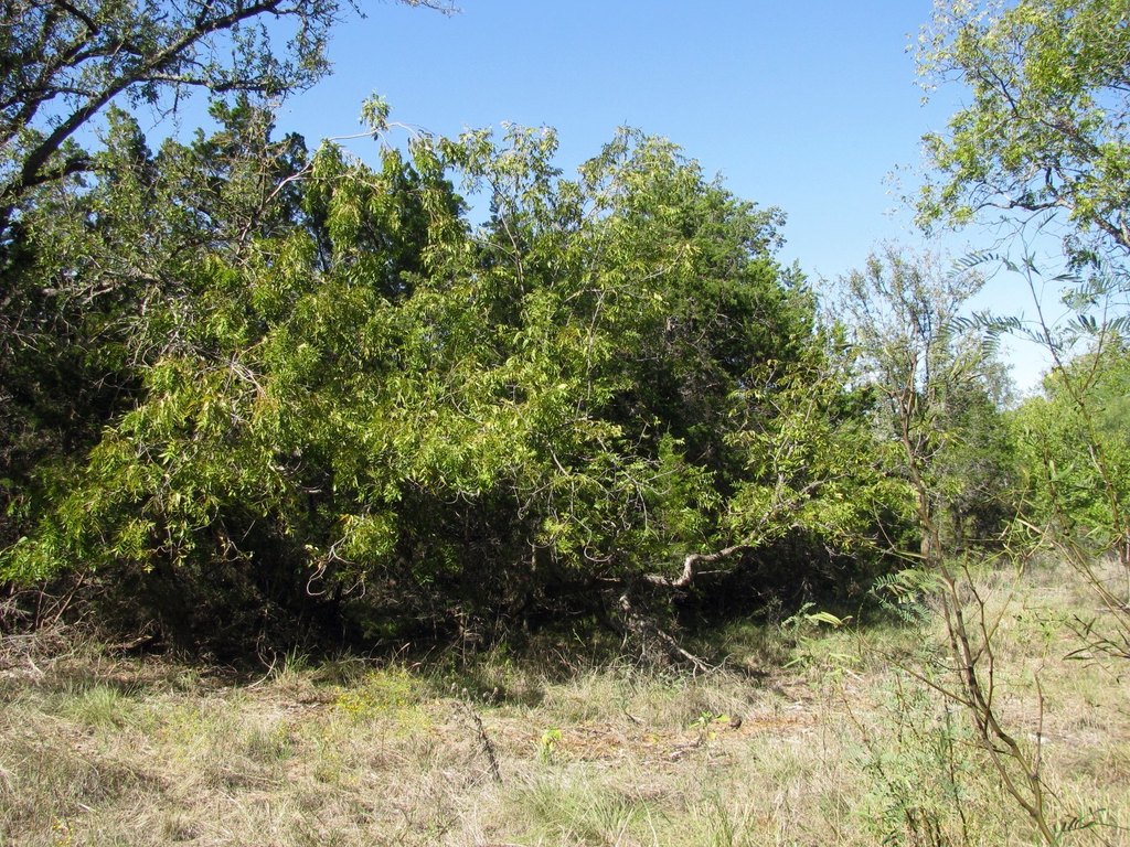 Picture 24