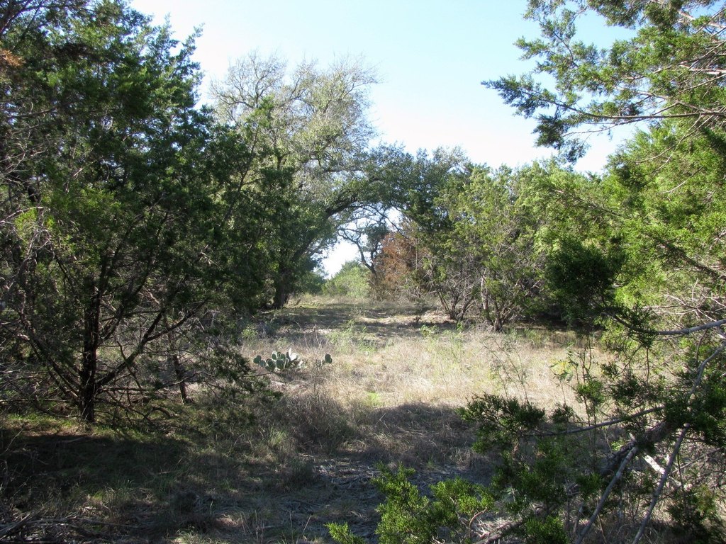 Picture 7