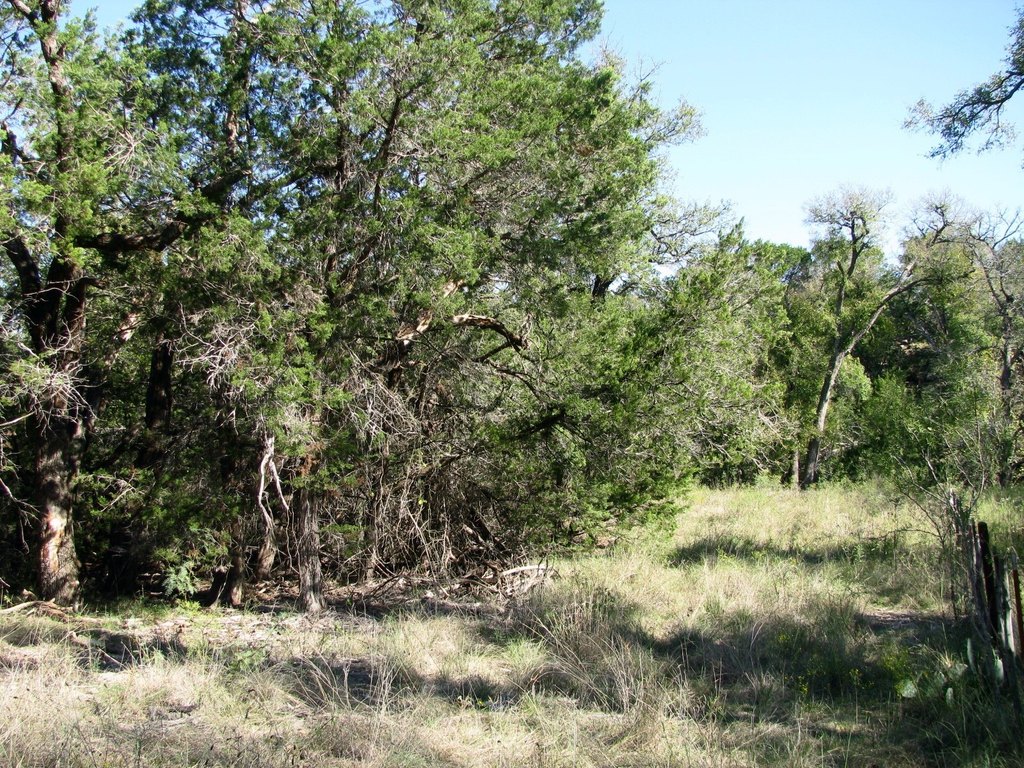Picture 20