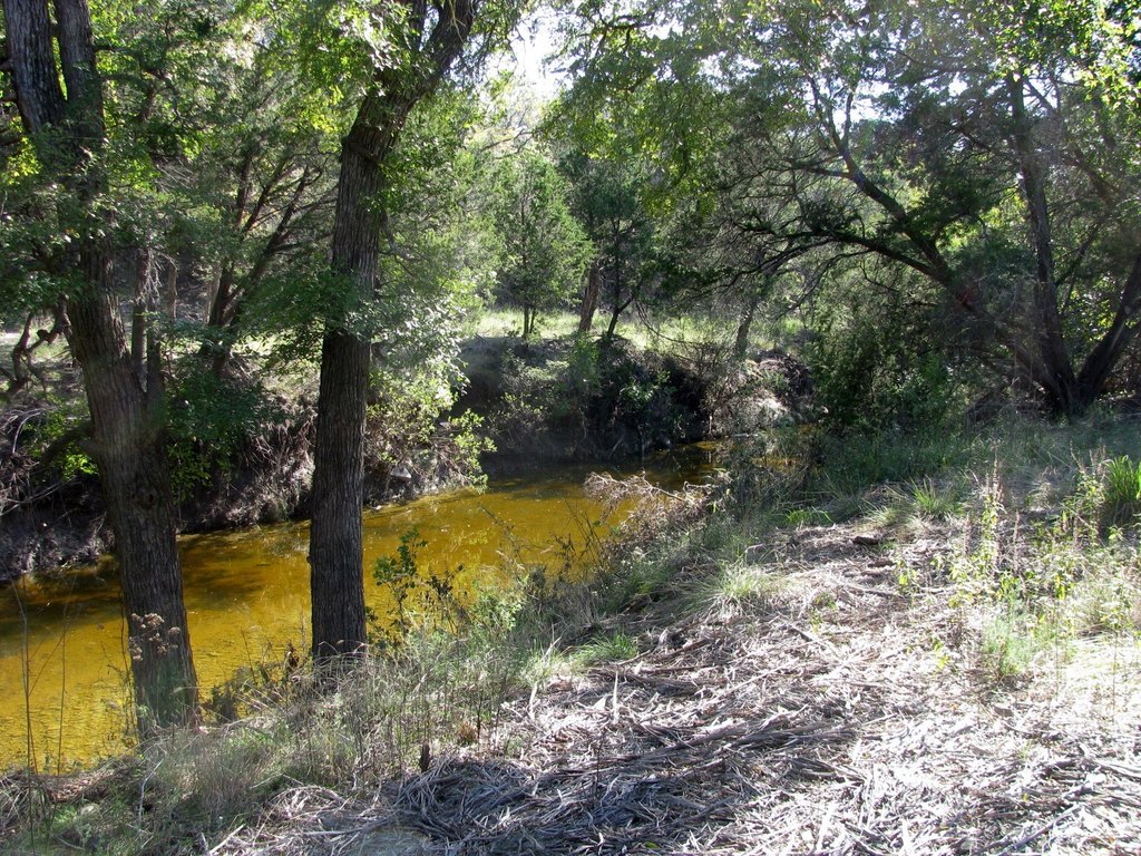 Picture 30