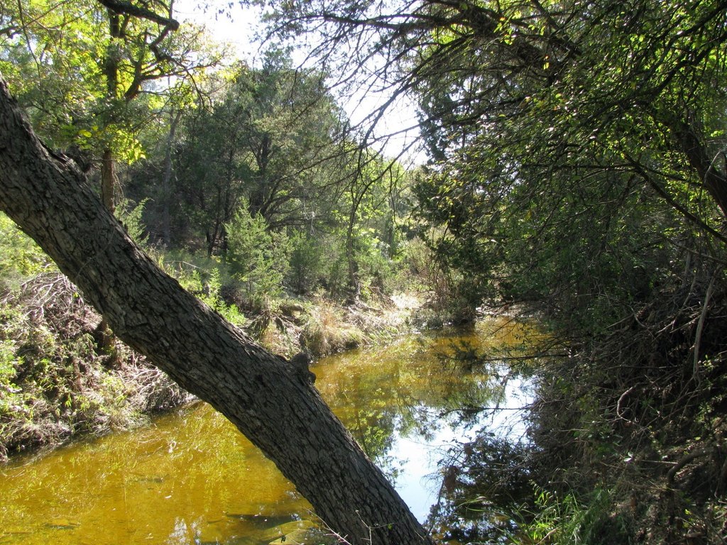 Picture 32