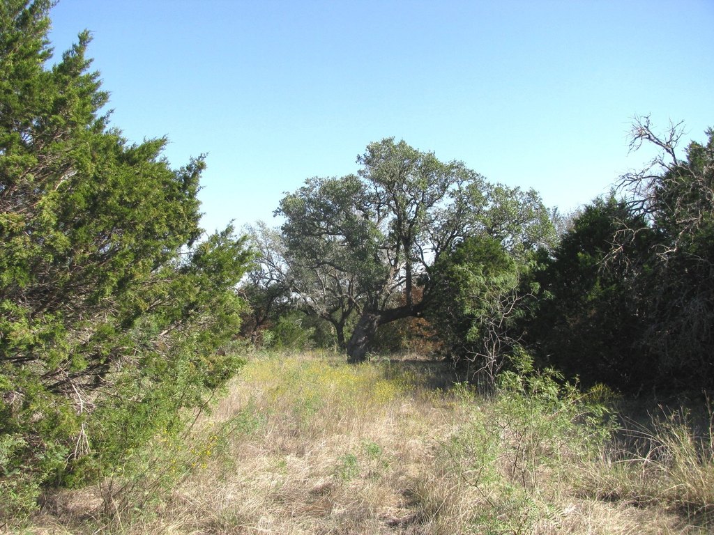 Picture 36