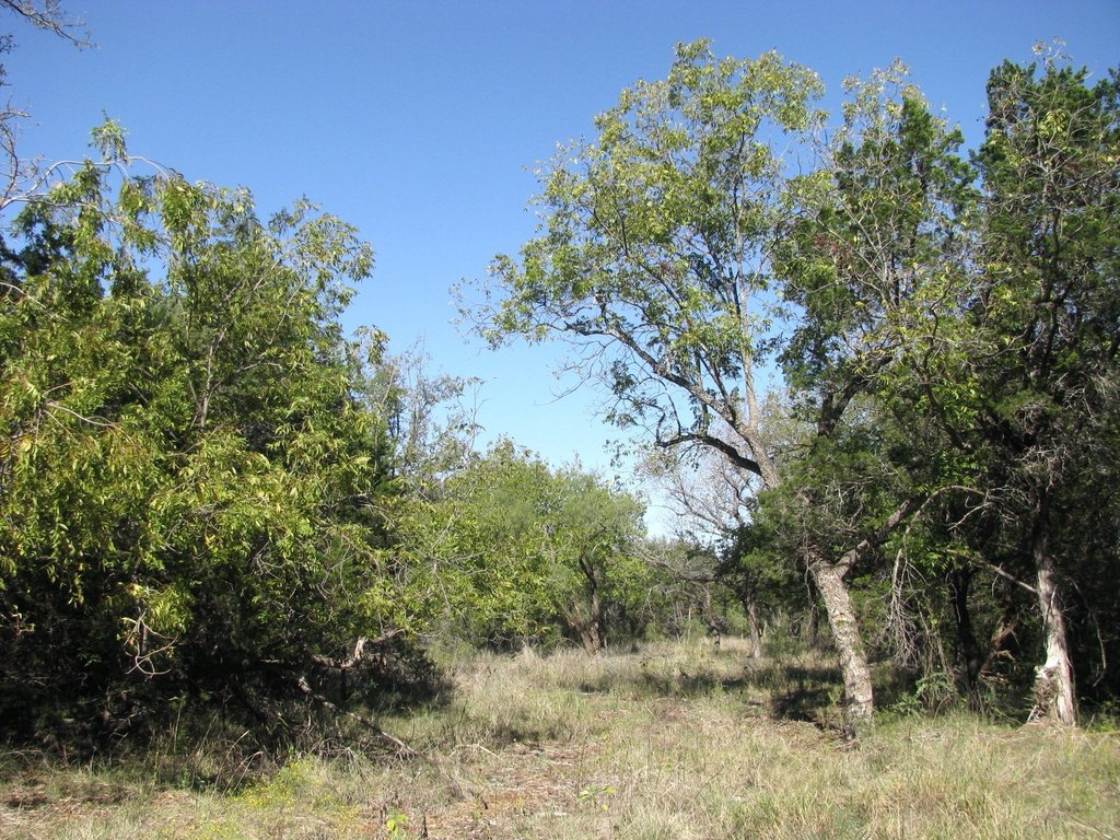 Picture 21