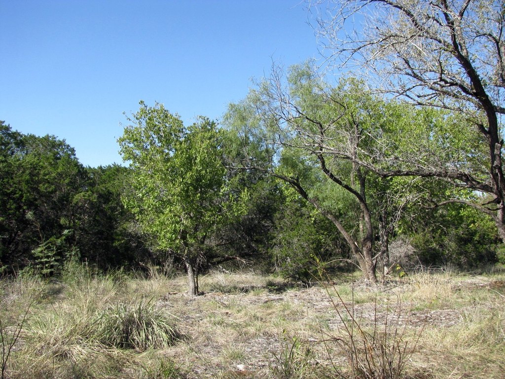 Picture 26