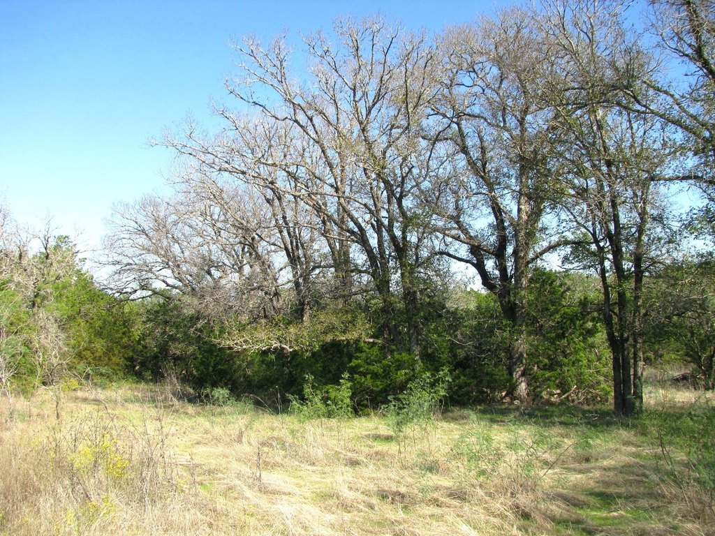 Picture 16