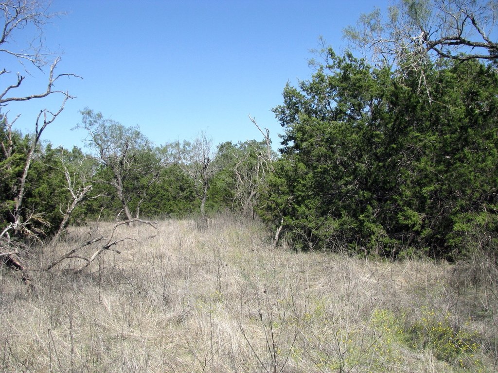 Picture 18