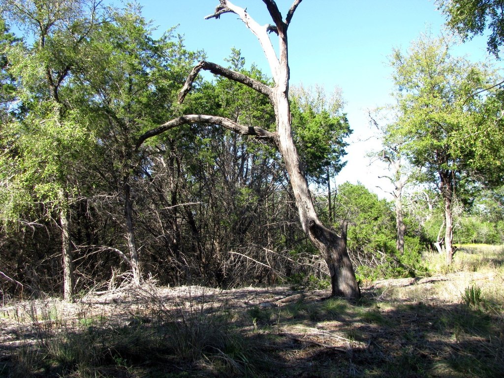 Picture 31