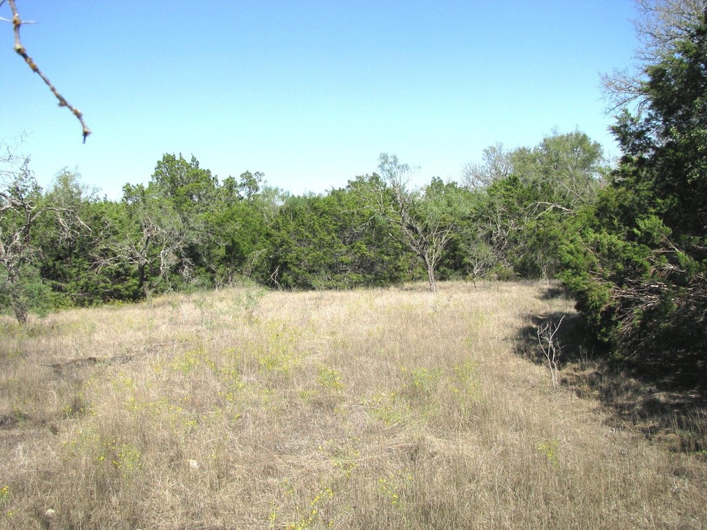 Picture 12