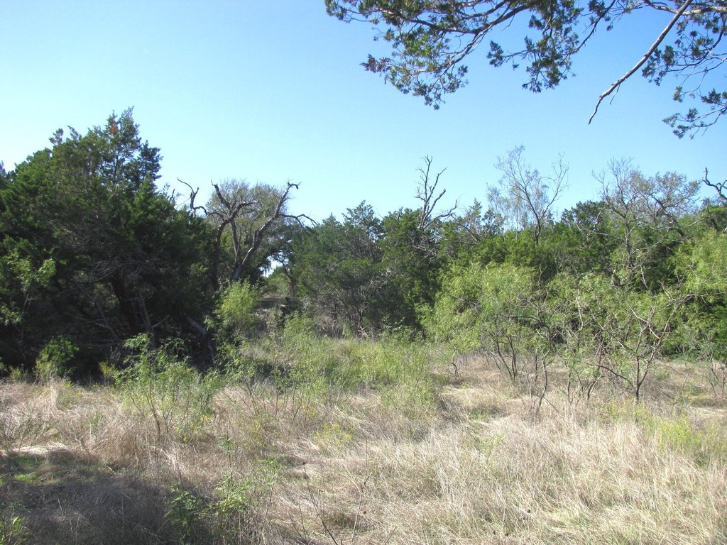 Picture 33