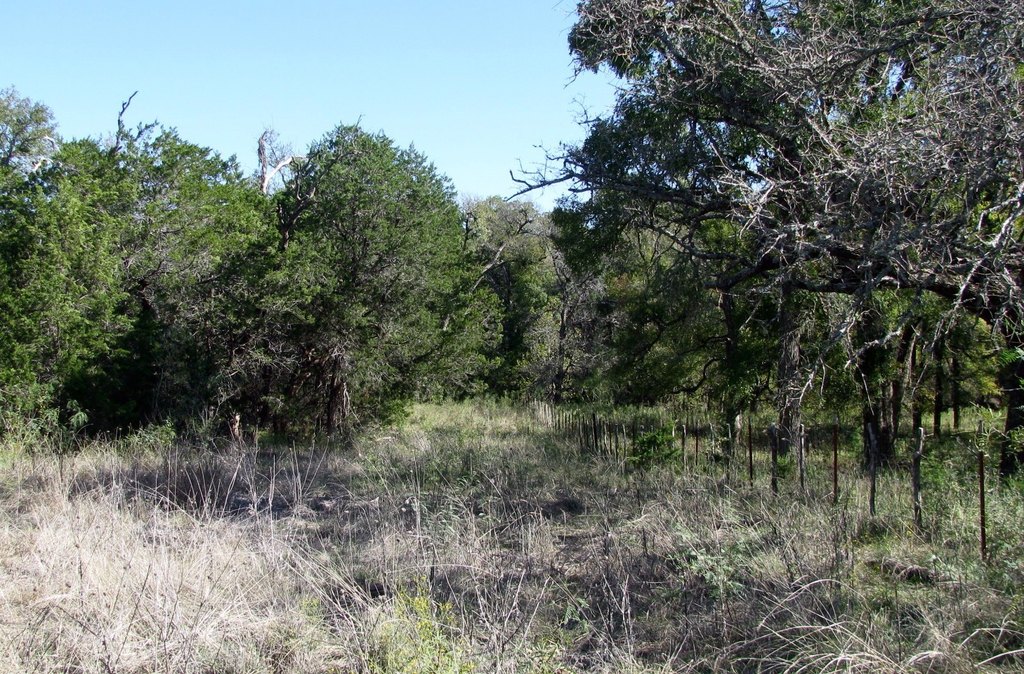 Picture 19