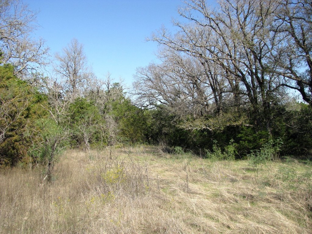 Picture 23